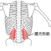 画像354