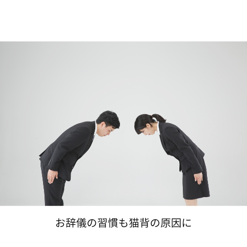 日本人の体形や生活習慣の影響